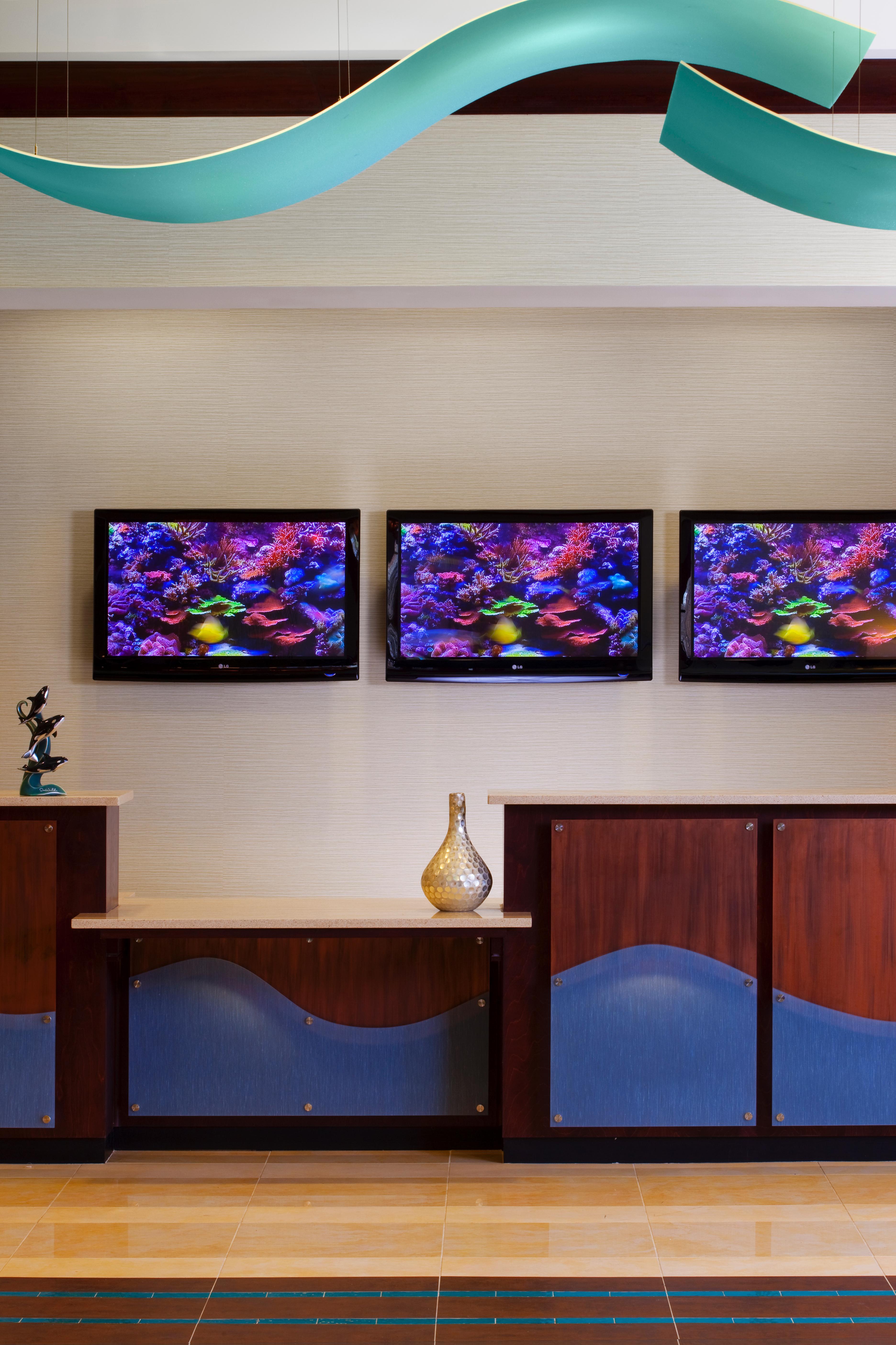 Fairfield Inn Suites By Marriott Orlando At Seaworld Williamsburg Luaran gambar