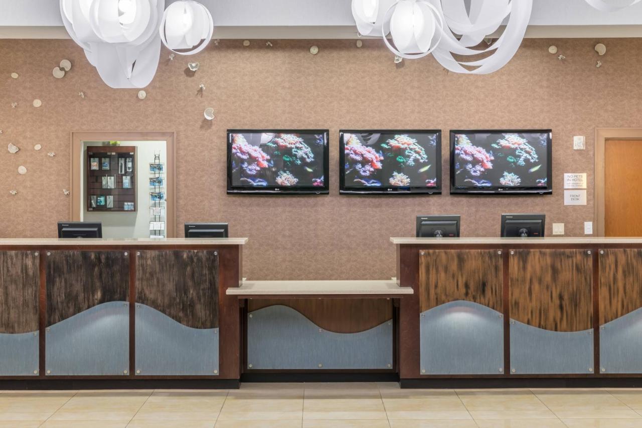 Fairfield Inn Suites By Marriott Orlando At Seaworld Williamsburg Luaran gambar